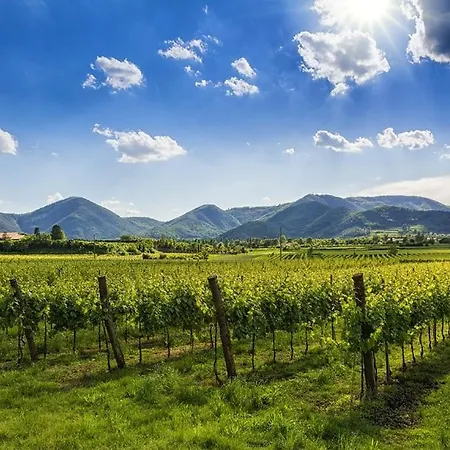 דירה Nido In Centro - No Ztl - Zona Universita, Piano 1 Con Ascensore, Clima E Wi-fi - Keki *